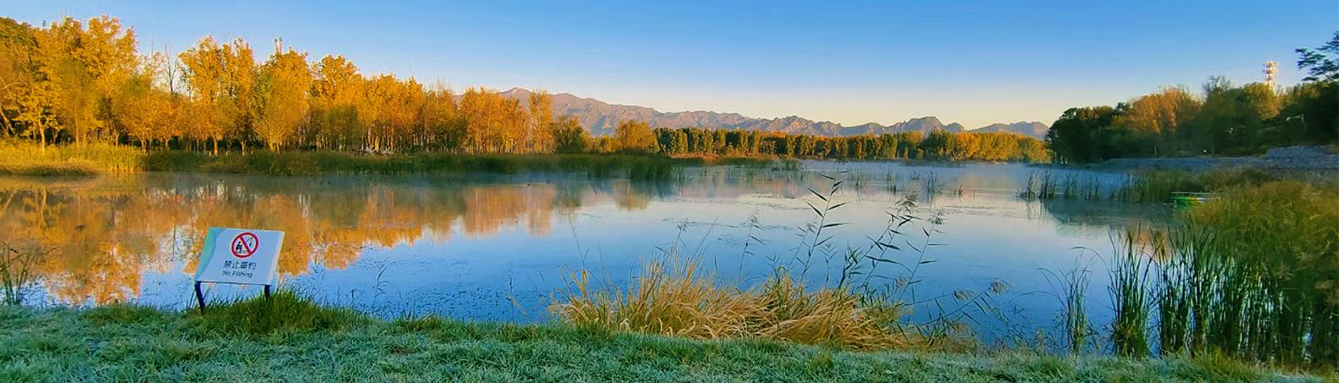 bet9九州(中国区)官方网站-Officials Website