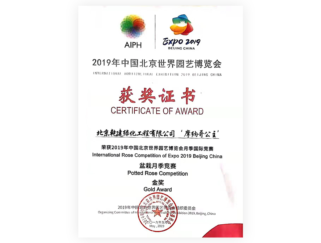 2019-月季“摩纳哥公主”-金奖