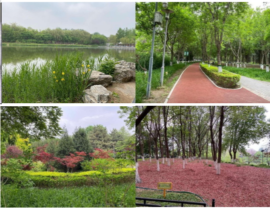 bet9九州(中国区)官方网站-Officials Website